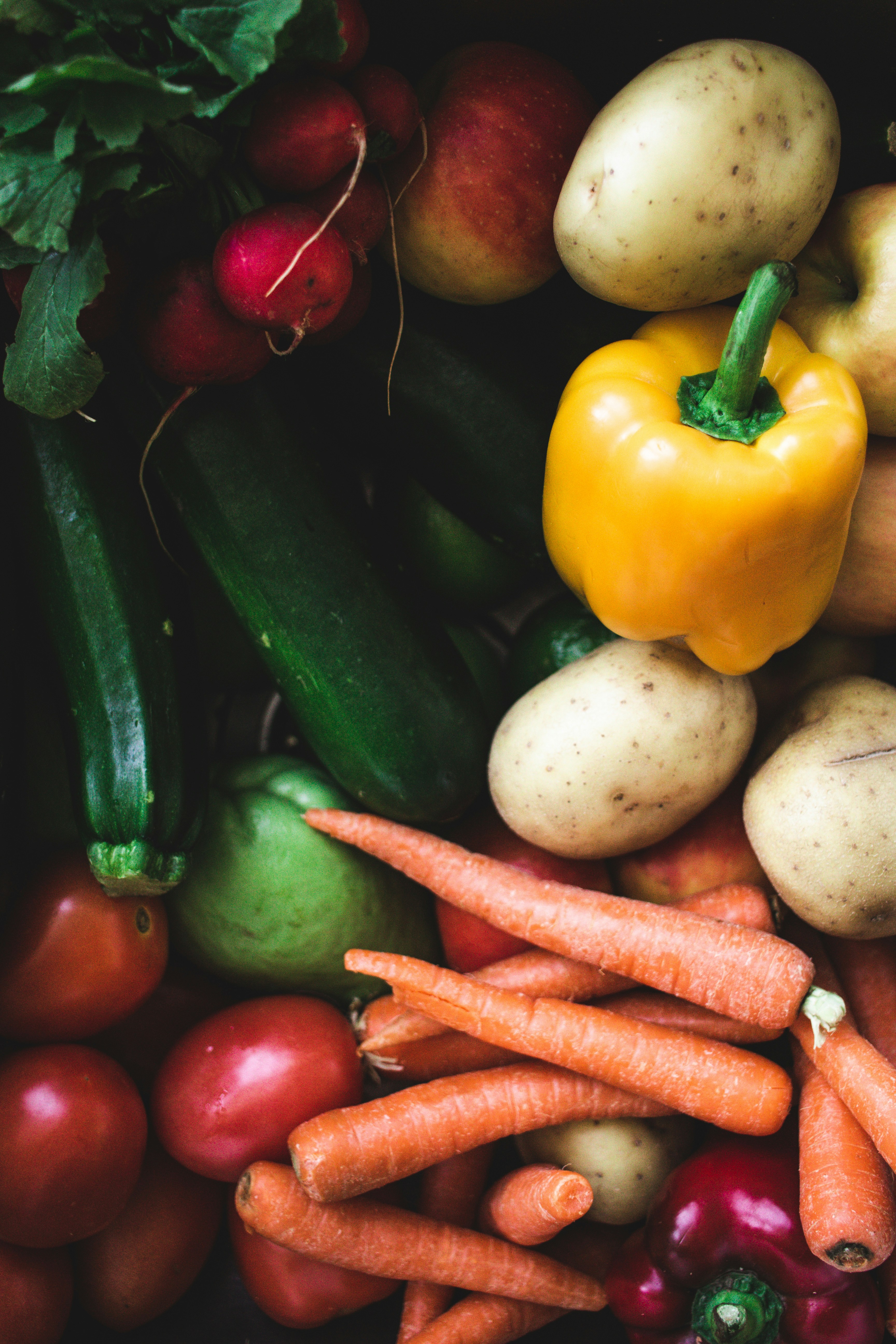 Healthy meal bowls prepared for subscription plans